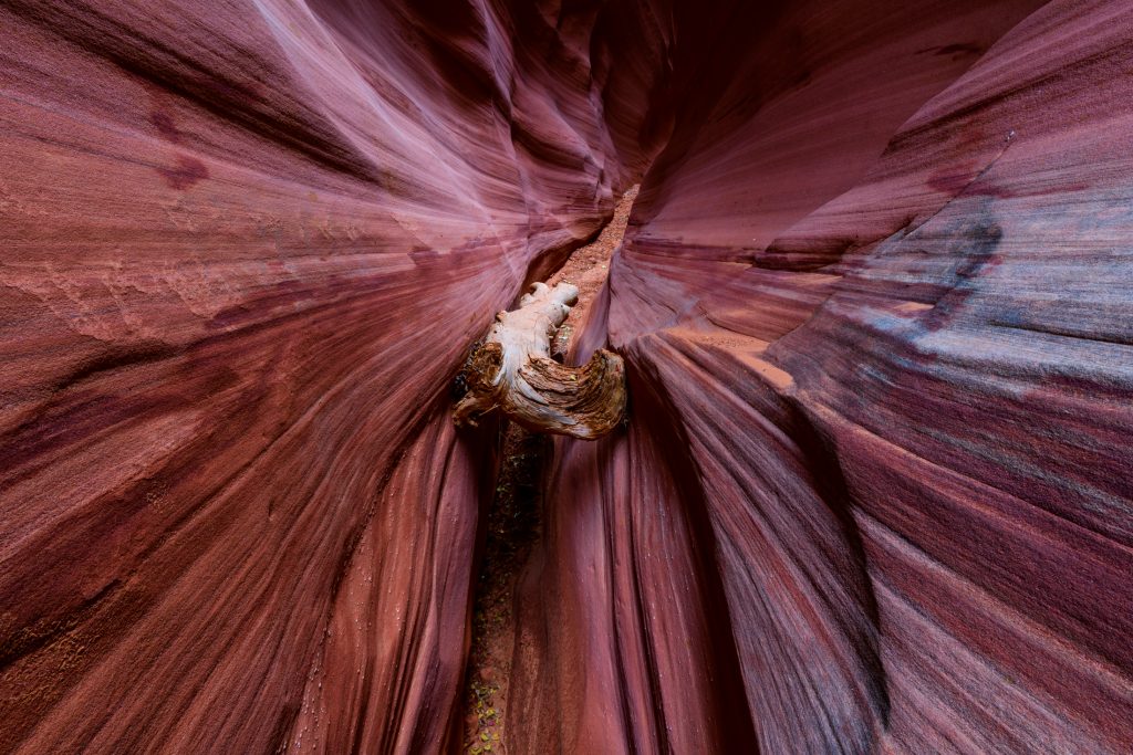 Slot canyon new mexico